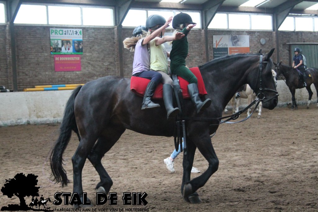 staldeeikimg_3075.jpg