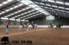 staldeeikimg_3082_small.jpg