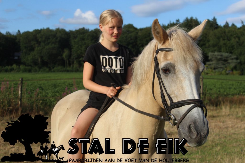 staldeeikimg_6136.jpg