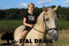 staldeeikimg_6136_small.jpg
