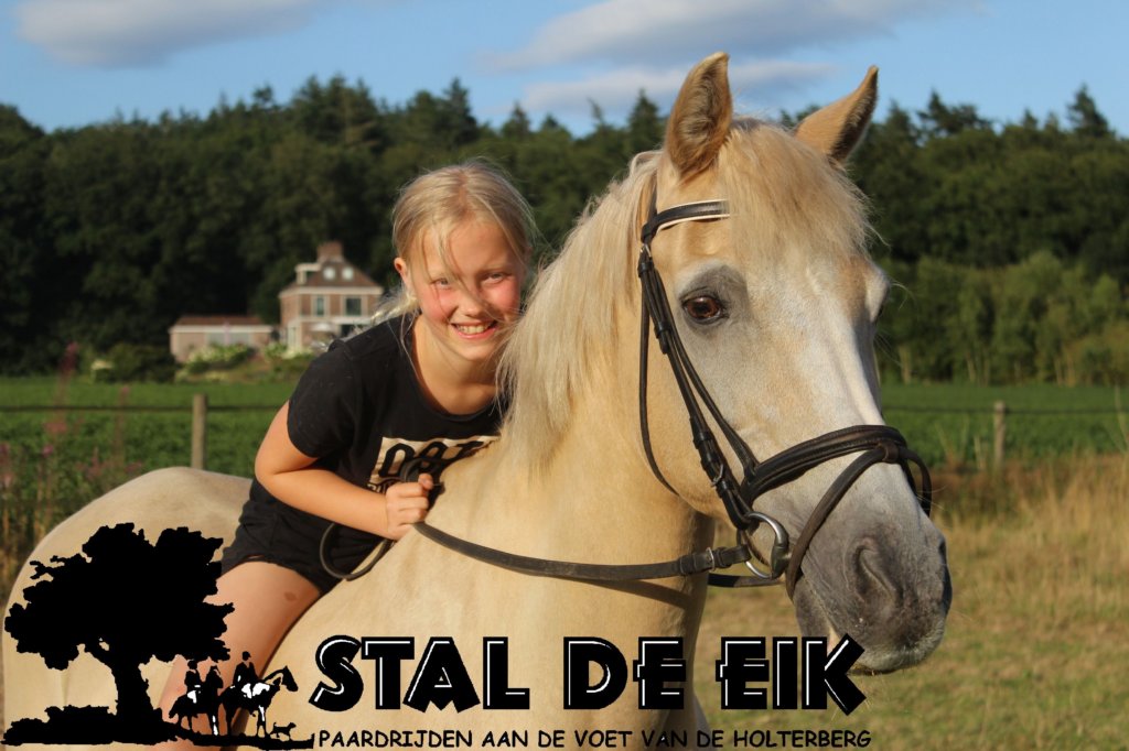 staldeeikimg_6141.jpg