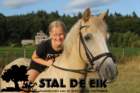 staldeeikimg_6141_small.jpg