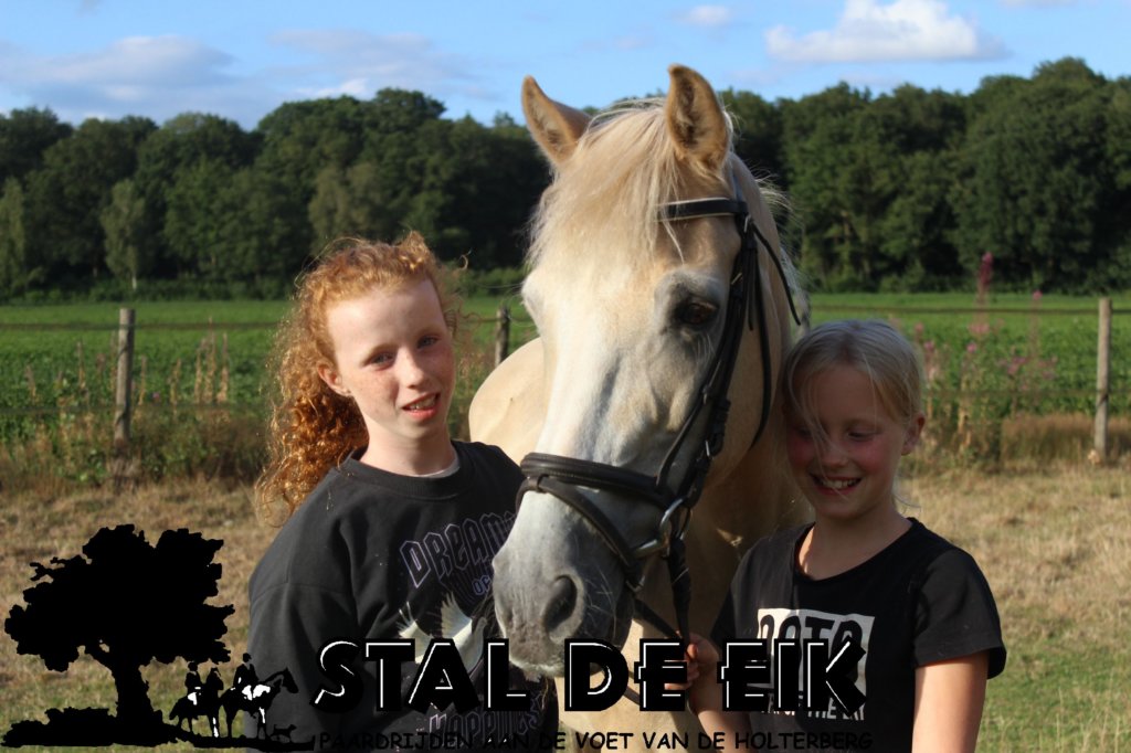 staldeeikimg_6149.jpg