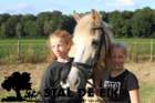 staldeeikimg_6151_small.jpg