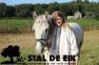 staldeeikimg_6153_small.jpg