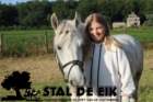staldeeikimg_6154_small.jpg