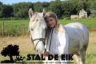staldeeikimg_6162_small.jpg