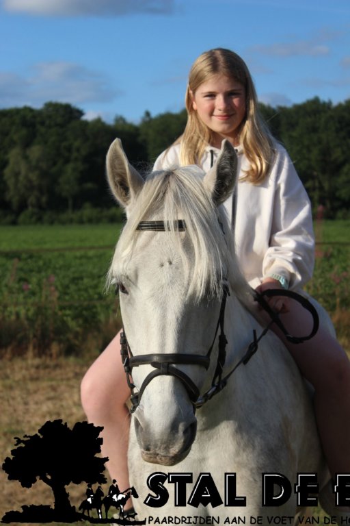 staldeeikimg_6173.jpg