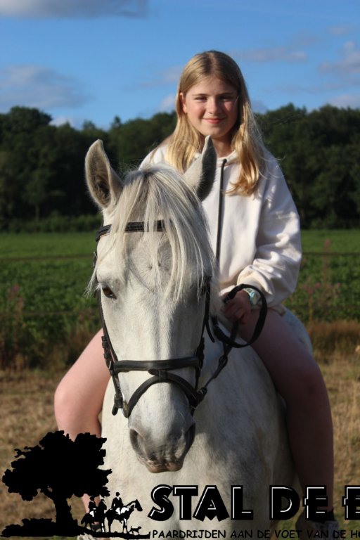 staldeeikimg_6174.jpg