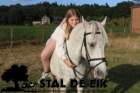 staldeeikimg_6182_small.jpg