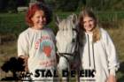 staldeeikimg_6187_small.jpg