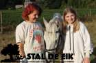 staldeeikimg_6189_small.jpg