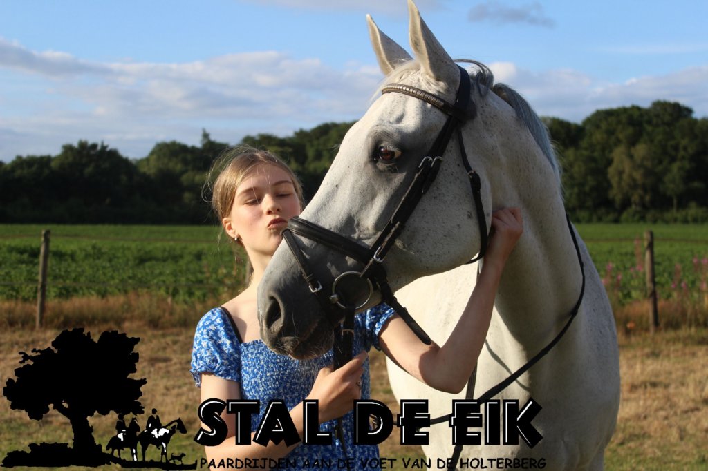 staldeeikimg_6200.jpg