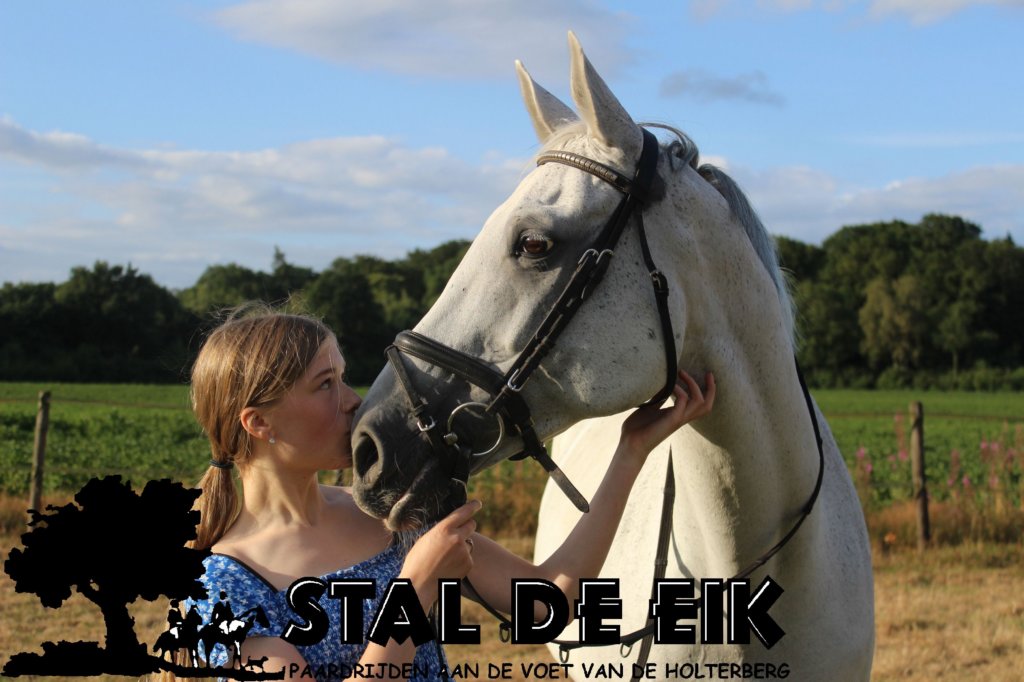 staldeeikimg_6201.jpg