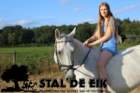 staldeeikimg_6244_small.jpg