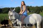 staldeeikimg_6245_small.jpg