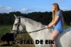 staldeeikimg_6249_small.jpg