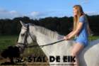 staldeeikimg_6250_small.jpg