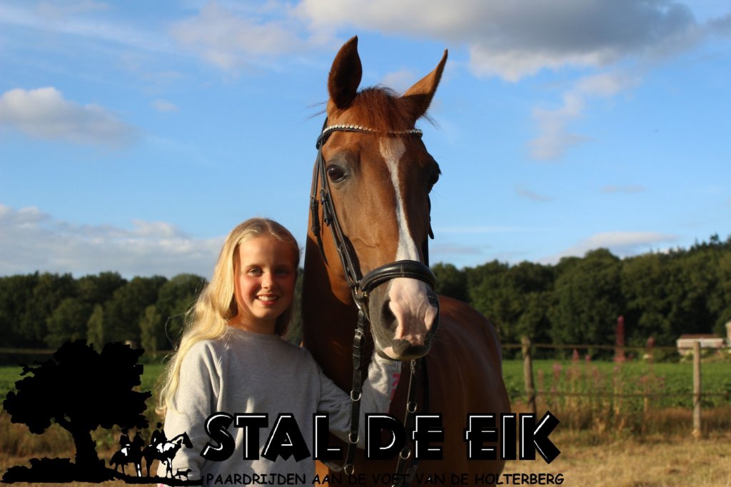 staldeeikimg_6260.jpg