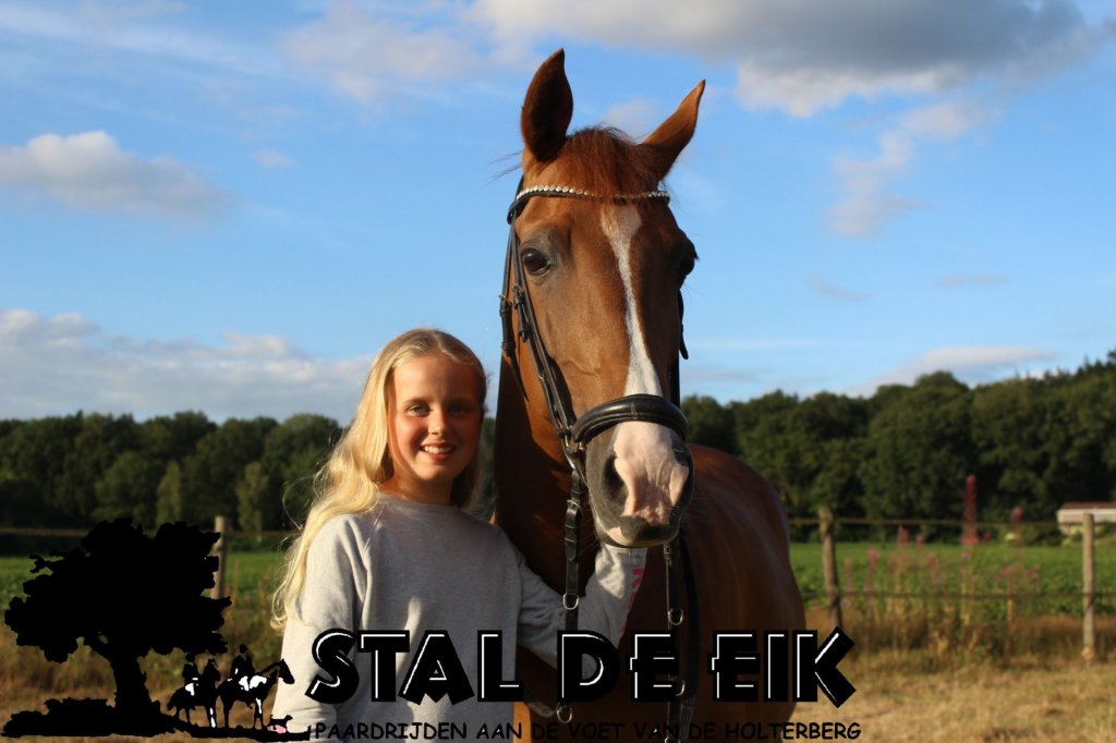 staldeeikimg_6261.jpg
