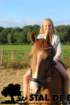 staldeeikimg_6273_small.jpg