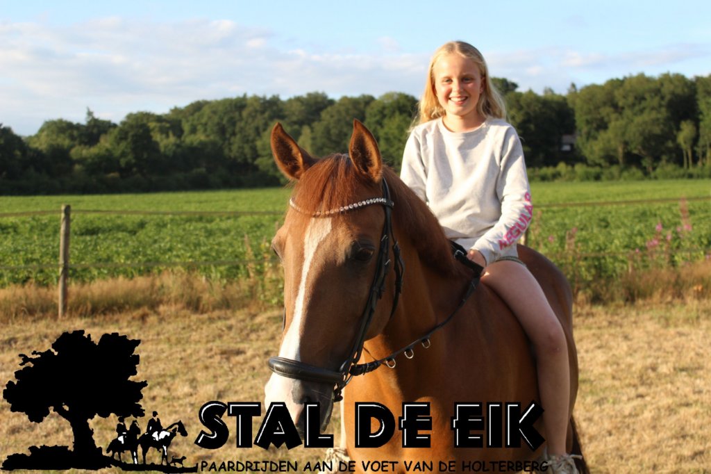 staldeeikimg_6277.jpg