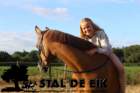 staldeeikimg_6282_small.jpg
