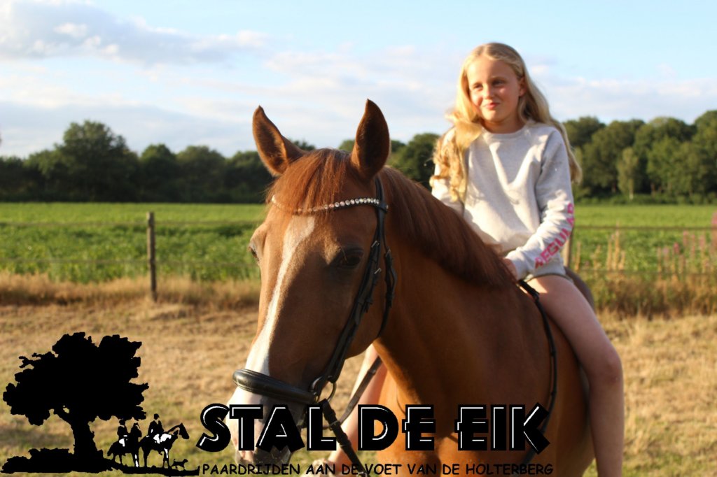 staldeeikimg_6286.jpg