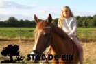 staldeeikimg_6286_small.jpg