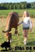 staldeeikimg_6288_small.jpg