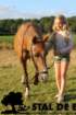 staldeeikimg_6289_small.jpg