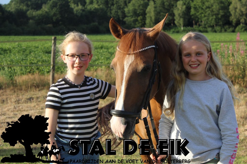 staldeeikimg_6292.jpg