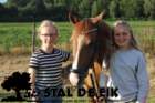 staldeeikimg_6292_small.jpg