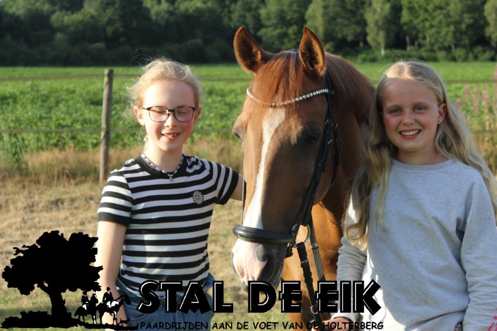 staldeeikimg_6293.jpg