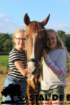 staldeeikimg_6295_small.jpg
