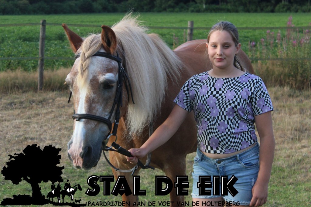 staldeeikimg_6298.jpg