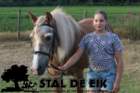 staldeeikimg_6298_small.jpg