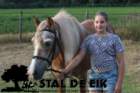 staldeeikimg_6299_small.jpg