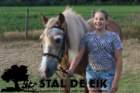 staldeeikimg_6300_small.jpg