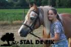 staldeeikimg_6306_small.jpg