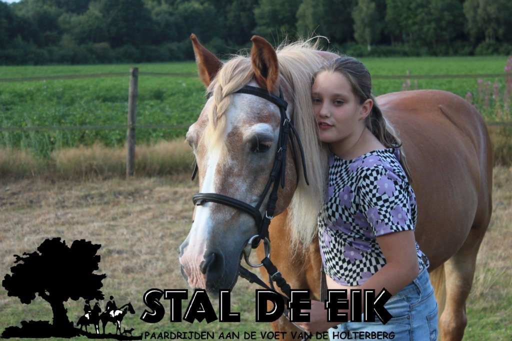 staldeeikimg_6307.jpg
