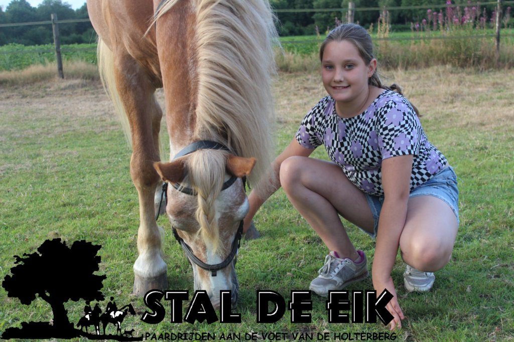 staldeeikimg_6317.jpg