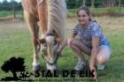staldeeikimg_6317_small.jpg