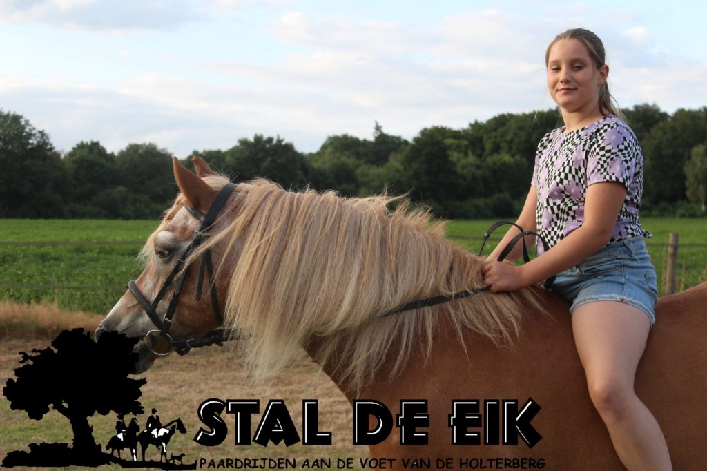 staldeeikimg_6318.jpg