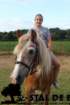 staldeeikimg_6321_small.jpg