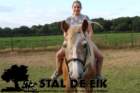 staldeeikimg_6322_small.jpg