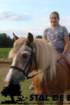 staldeeikimg_6325_small.jpg