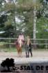 staldeeikimg_6739_small.jpg