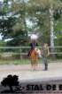 staldeeikimg_6740_small.jpg