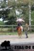 staldeeikimg_6742_small.jpg